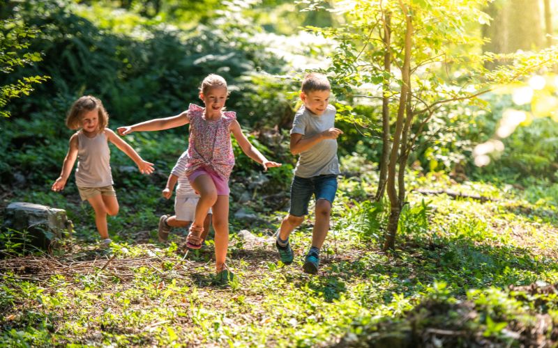 Kinder rennen durch den Wald im Waldkindergarten