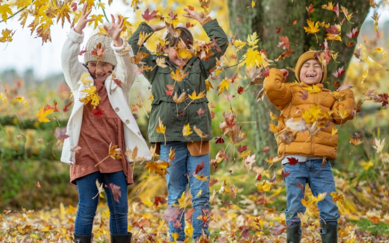Kinder im Waldkindergarten im Herbst